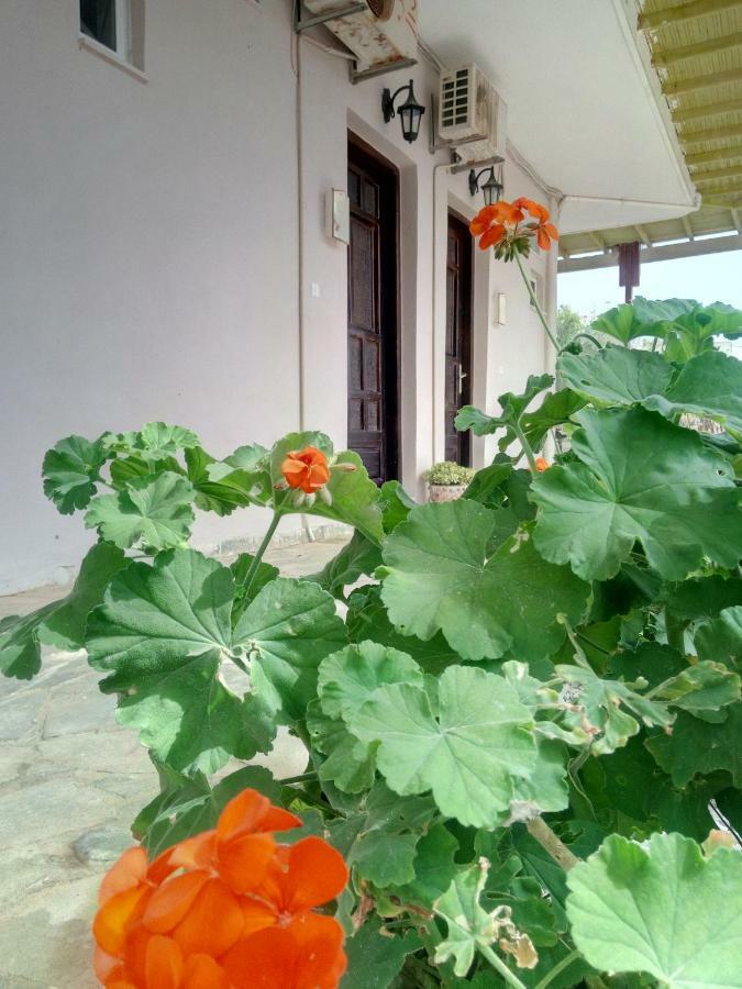 Εmmi Appartement Koutsounári Buitenkant foto